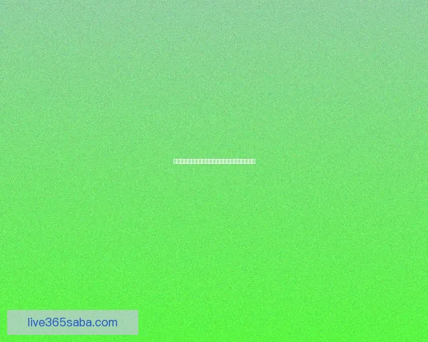 世界杯竞猜福利平台助力球迷赢取豪礼畅享赛事激情